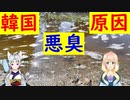 【韓国の反応】韓国の河川に糞尿を100t放流した結果・・・【世界の〇〇にゅーす】
