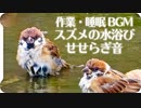 【自然音】スズメの水浴び+癒やしの水音1時間耐久