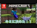【死んだら即終了】人生のパートナーと畑作りはじめました！Part６【マインクラフト】