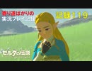 【寄り道ばかりの】ゼルダの伝説BotW【実況プレイ記録119】10枚目と90か所目