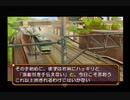 STEADY✖STUDYを実況してみた【Part9】