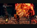 [ダークソウル]初心者による初見な冒険[REMASTERED]その77