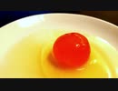 2ヶ月放置した卵で料理してみた結果