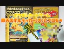 ポケモンカードゲーム仰天のボルテッカー(大)とプロモ★