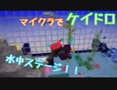 マイクラでケイドロをやるイベントに参加させて頂いた！！（後編）