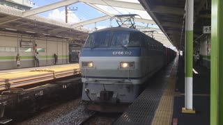 【ザンナナの横で】EF66 112+貨物車両 南流山駅1番線通過