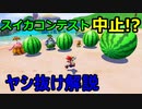 【入力表示】マリオサンシャインRTA初心者用ヤシ抜け解説動画【マンマビーチS8】