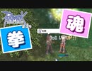 【RO #49】テコンキッド【女性実況】