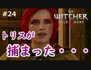 【実況】ダークファンタスティックウィッチャー Part24