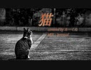 猫/DISH//【covered by ルーくん】【歌ってみた】