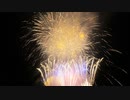 【2020】StarlitNightFireworks in 福井 「Starlit Night Fireworks ～星々のきらめき、花火の輝き～」