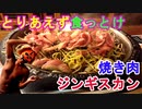 【焼き肉とジンギスカン】焼き肉やジンギスカンをひたすら食べまくった時の肉が焼ける様子をたくさんご覧あれ（俺の食レポ）[俺のシリーズ]