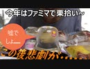 ファミリーマートの栗商品で栗拾いしてみたらやらかした……