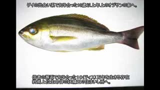 ノムリッシュイサキおじさん.BeCooooool