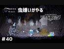 【虫嫌いがやる】Hollow Knight　part40【実況】