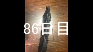 黒折り紙で千羽鶴を作っていく　86日目