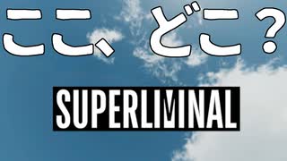 大バグ無限空間 ＆ ループ地獄で半泣き【Superliminal】#10