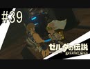【ゼルダの伝説ブレスオブザワイルド＃39】風の向くまま気の向くまま　アッカレ道中Part1【はるの積みゲー崩し】