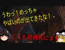 【RoT】ゆっくり霊夢の冒険家稼業part3