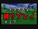 【アルカリ性】26周目だし、縛りプレイで楽しもう！【ドラクエ5シーズン1 Part17】