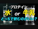 【必見】プロテインを水と牛乳で飲むそれぞれのメリットとデメリットを解説【ビーレジェンド プロテイン】