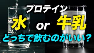 【必見】プロテインを水と牛乳で飲むそれぞれのメリットとデメリットを解説【ビーレジェンド プロテイン】