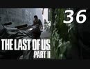 THE LAST OF US PART Ⅱ　【実況】#36