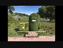 これのこと　３７　Catch_Up　Dan Lebowitz