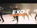 EXO Members Profile (Birth Names, Birth Dates, Positions etc..)