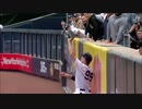 【MLB】世界一優しくホームランボールを捕るアーロン・ジャッジの好捕集