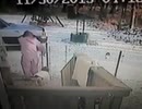 猫ｖｓ人間