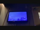 secret sensation歌ってみた【TKfrom凛として時雨】