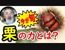 【秋の味覚】お祝いにも使われた…栗の真の魅力に迫ってみる！