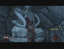 ネギのゲーム実況　SEKIRO：SHADOWS DIE TWICE　#046　｢毒沼の戦い｣