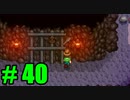 【飲酒実況】 Stardew Valley part40 【modあり】