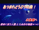 【あつ森】前人未島へようこそ！#143【あつまれどうぶつの森】