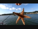 釣り初心者がお魚１０匹釣るまで家に帰れない旅⑤