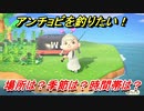 あつまれどうぶつの森　アンチョビを釣る方法！場所は？季節は？時間帯は？　魚図鑑コンプへの道！釣り攻略。　【あつ森】