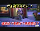あつまれどうぶつの森　ガを捕る方法！場所は？季節は？時間帯は？　虫図鑑コンプへの道！虫捕り攻略。　【あつ森】