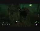 一人でも逃げきるDBD