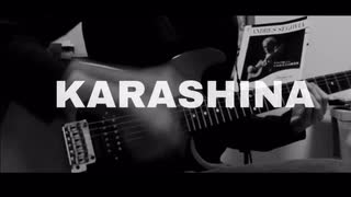 【karashina(ver.EMA) / A_ll】guitar cover