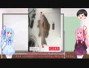 琴葉茜ちゃん葵ちゃんとおっさんの釣り記録＃５（海上釣り堀とおまけ編