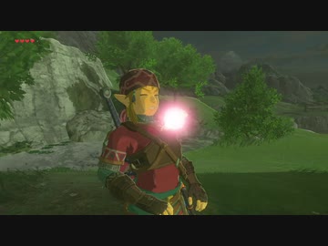 【実況】ハイラルソード　その8