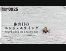 0925【雨の日のエンジェルウイング】カルガモが田んぼで何か食べる。強風に襲われるチョウゲンボウ。カワセミ、ヒヨドリ、コガモなど。【 #今日撮り野鳥動画まとめ 】 #身近な生き物語