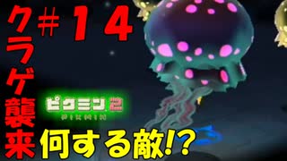【ピクミン2】このクラゲ一体何者！？【実況プレイ】１４日目