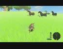 【実況】ハイラルソード　その10