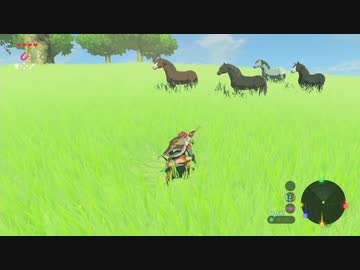 【実況】ハイラルソード　その10