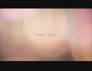 【オリジナル曲】Petit Trou（小さな穴）（YAMAHA QY70/QY100 Step Recording）【DTM】