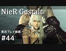 【NieR Gestalt】こんにちは狂気【part44】