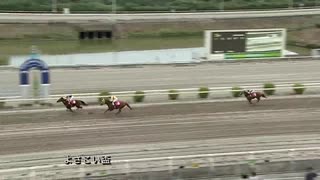 2020年9月22日高知競馬5R ＪＲＡ交流競走 よさこい盃(JRA1勝クラス・B級以下) サイモンハロルド